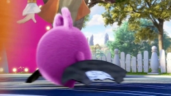 انیمیشن سانی بانیز قسمت 41 - sunny bunnies